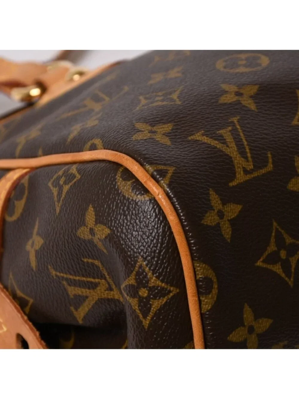 Louis Vuitton brand louis
